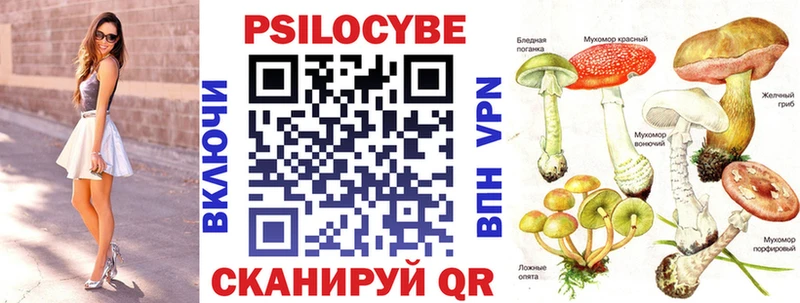 Псилоцибиновые грибы мицелий  MEGA онион  Шагонар 
